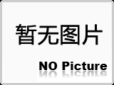 鑄鐵彎板